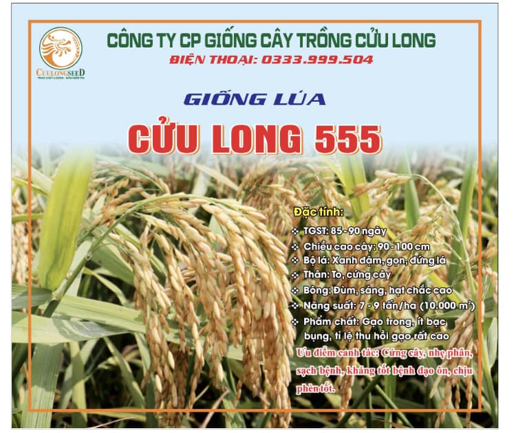 CUU LONG 555