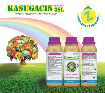 KASUGACIN 3 SL | THÁI LAN